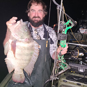 Tilapia Tilapia