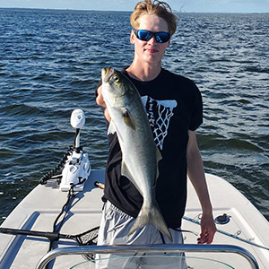 florida bluefish