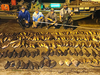 night bow fishing night bow fishing