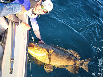 florida gulf charters florida gulf charters