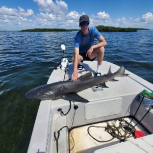 shark fishing tours