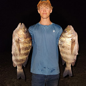 sheepshead sheepshead